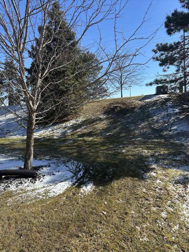 Cleaned-up yard after tree removal in Fort Wayne